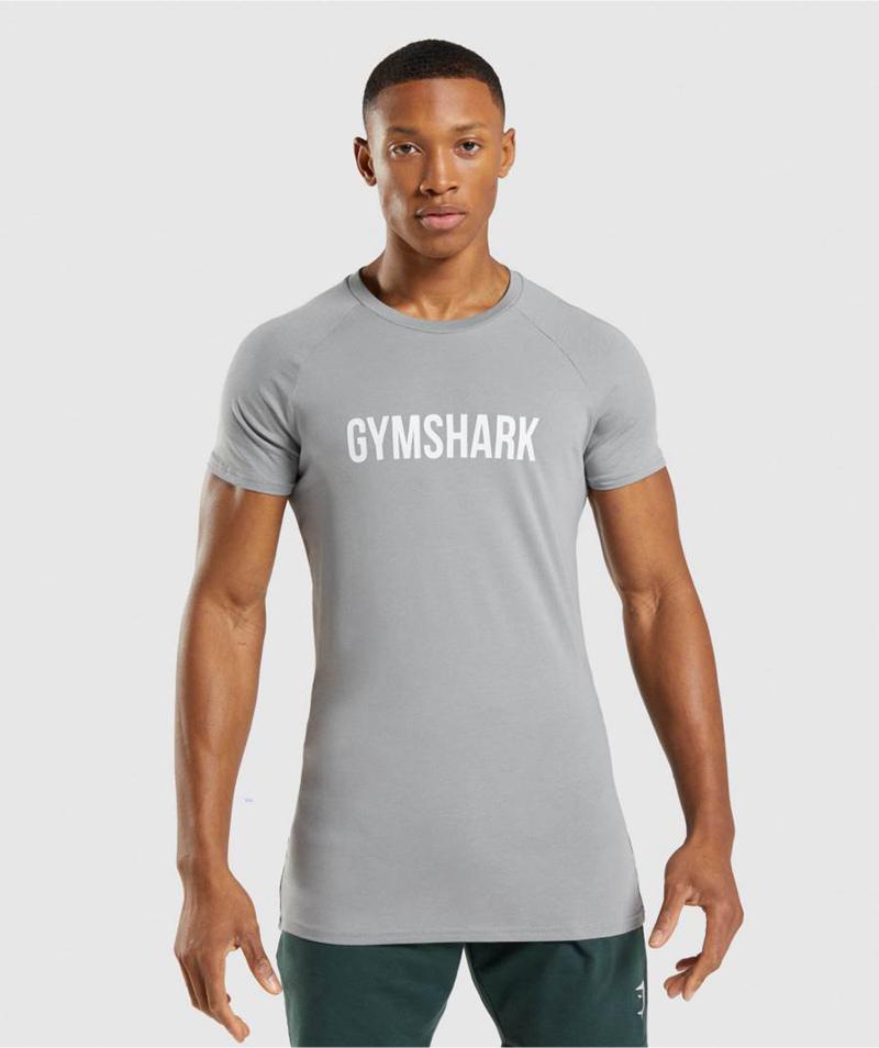 T-Shirts Gymshark Apollo Panske Siva SK | 7905-ETCIF