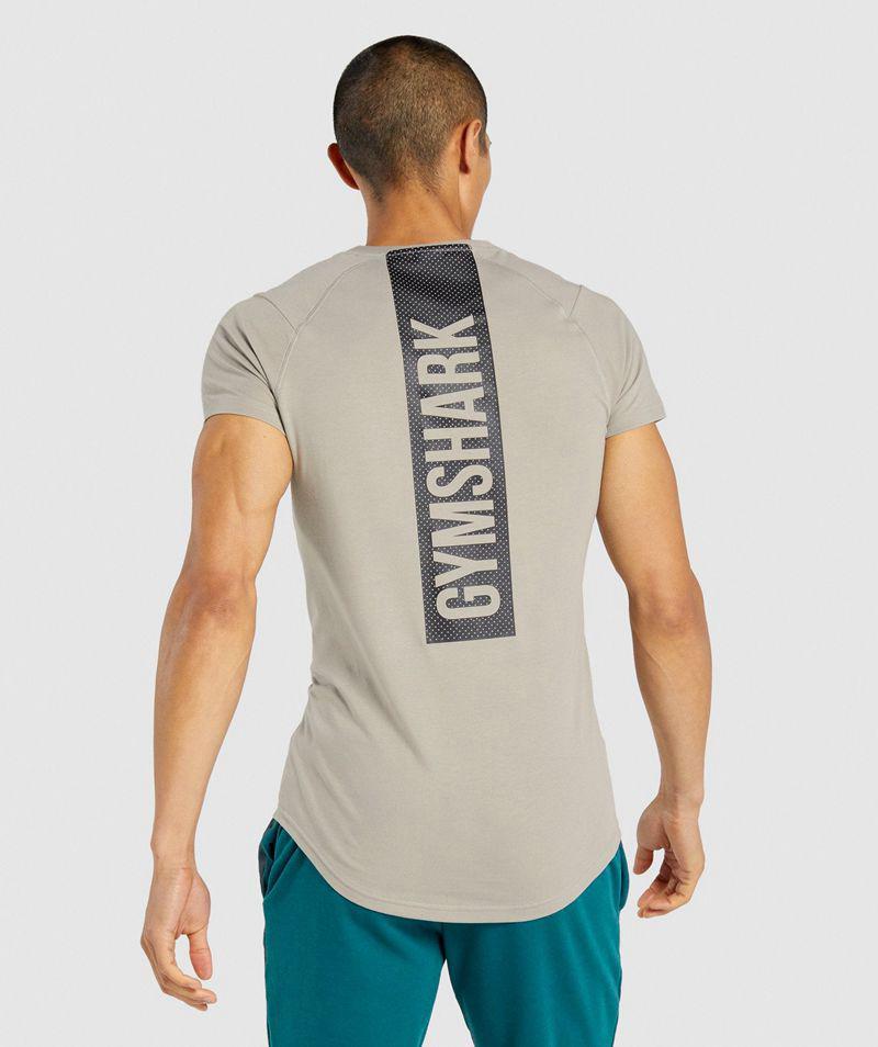 T-Shirts Gymshark Bold Panske Siva SK | 3965-TQIPM