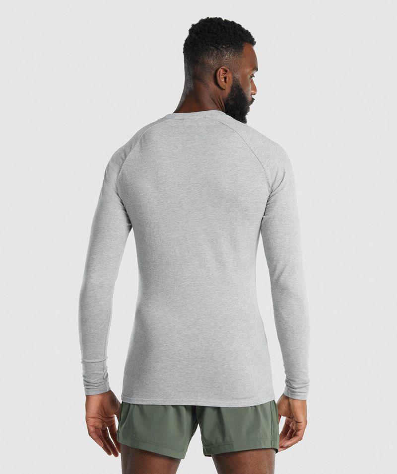T-Shirts Gymshark Apollo Long Sleeve Panske Svetlo Siva  SK |  0658-MKLAQ